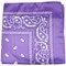 Unibasic Paisley 100% Polyester Bandana, head wrap, handkerchief - 26 Pack